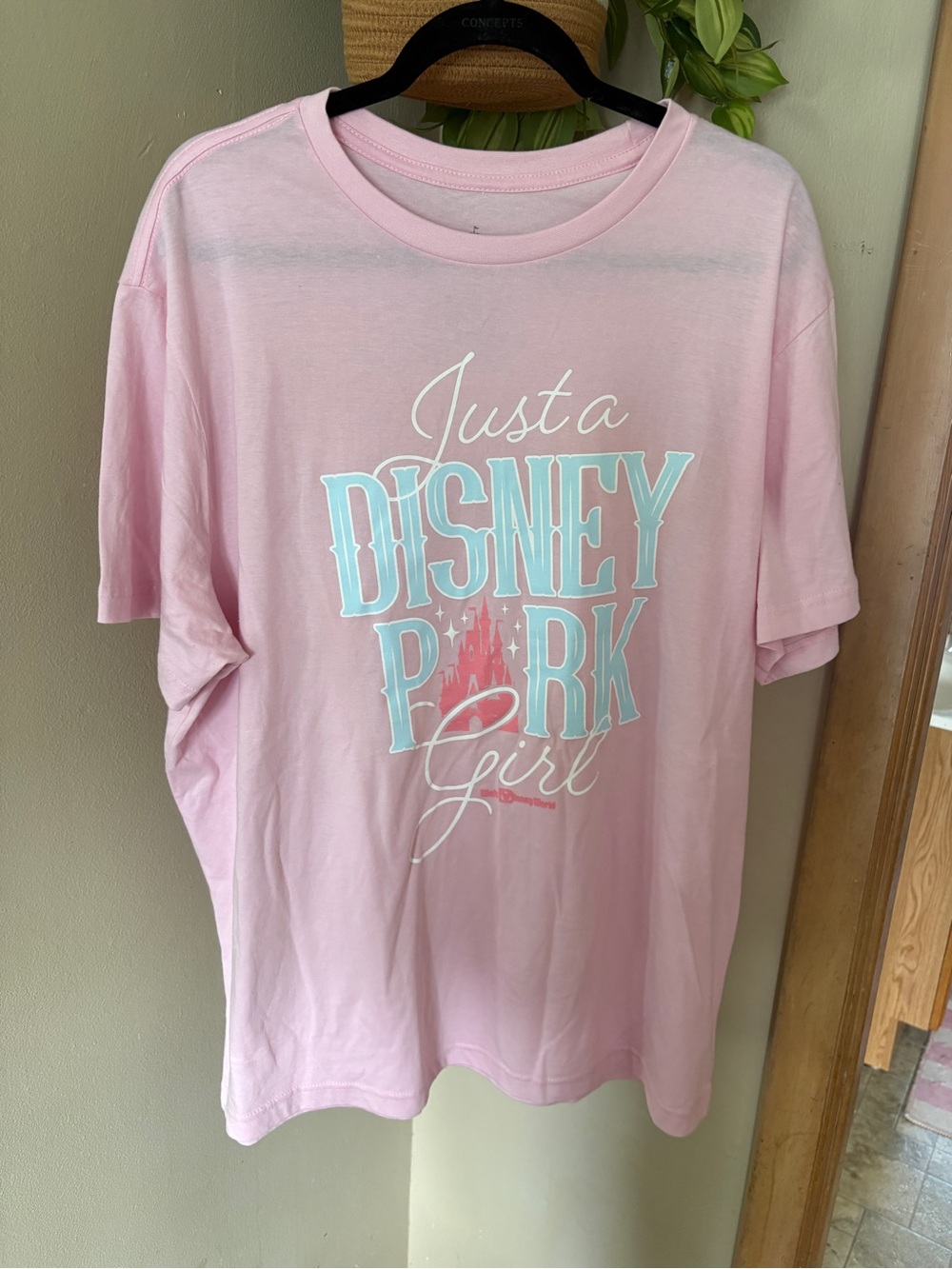 Walt Disney World 2026 Pink Tee with Mint and White Park Graphic